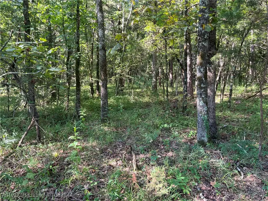 2021 Goats Bluff, Wister, OK 74966 - Image #2