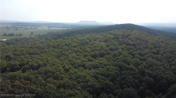 0001 Randolph Road, Ratcliff, AR 72951