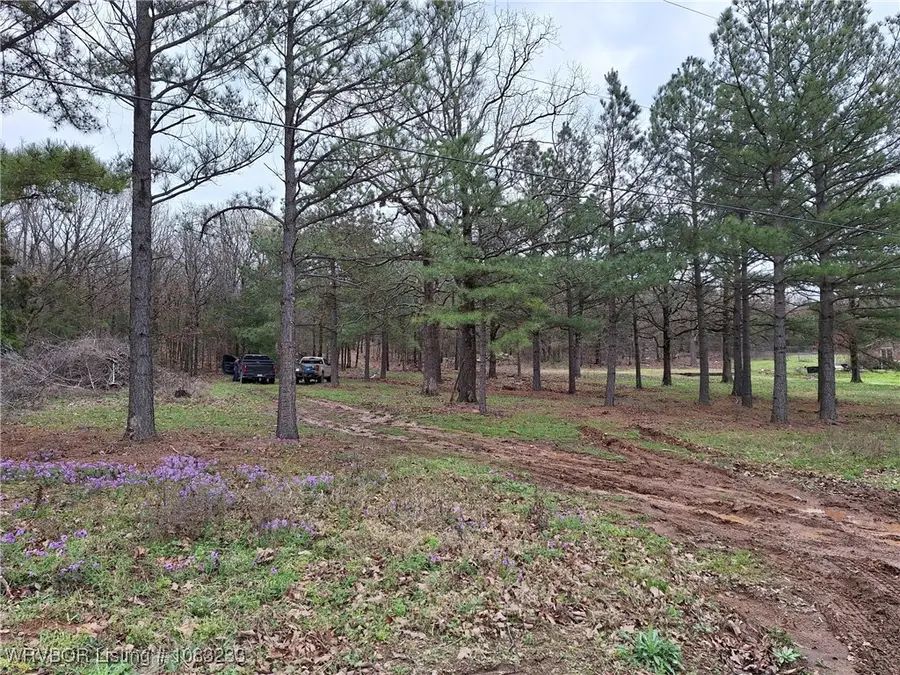 0001 Randolph Road, Ratcliff, AR 72951 - Image #3