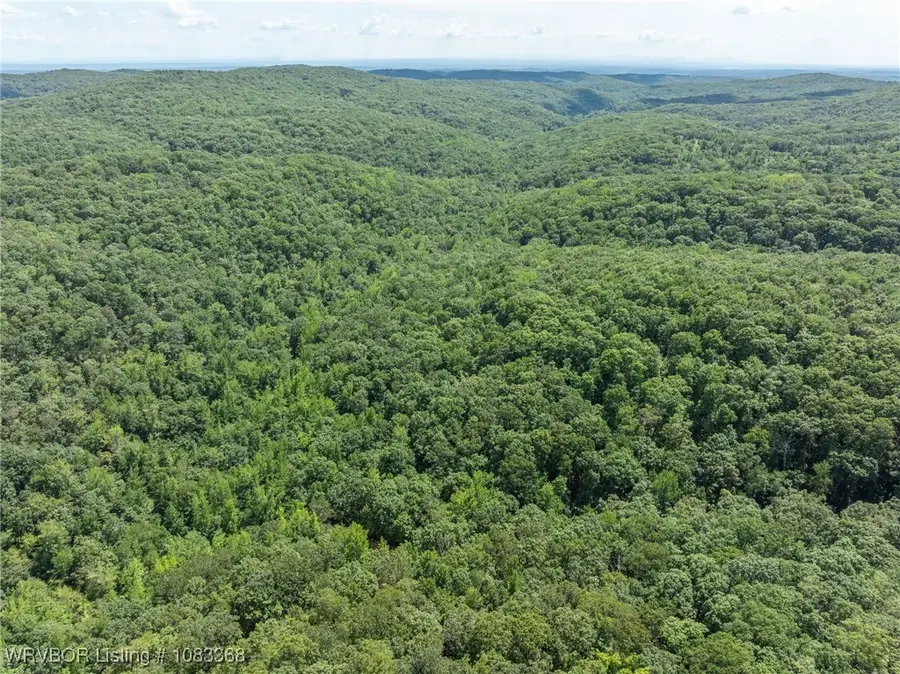 TBD Big Bear Canyon Trail, Chester, AR 72934 - Image #2