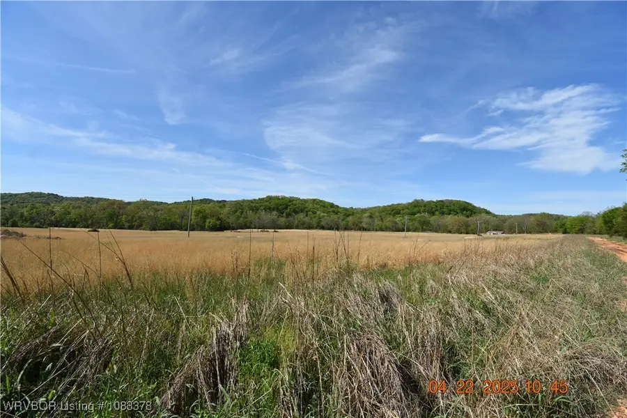 TBD Blk 1 Lot 11 E Steely Hollow Road, Tahlequah, OK 74464 - Image #2