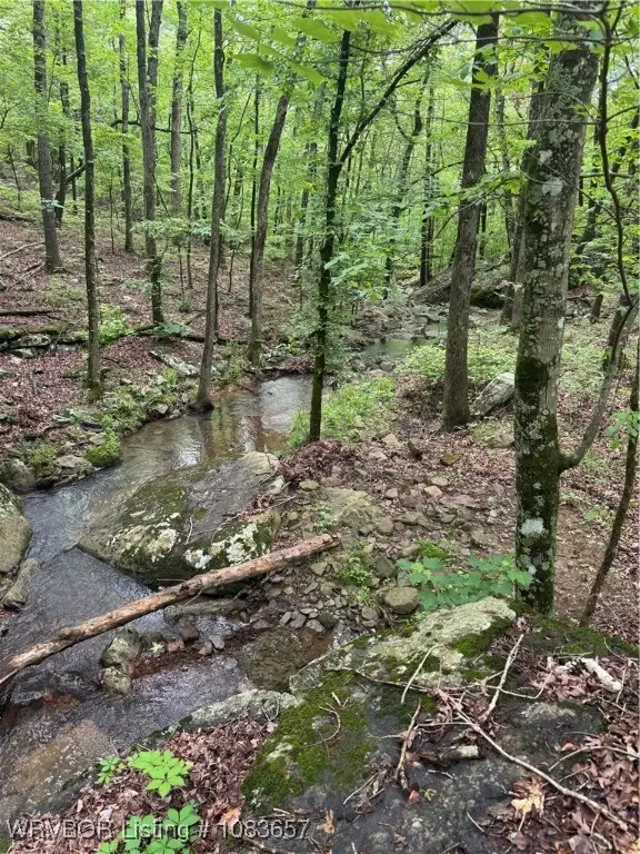 9919 Old 81 Loop, Rudy, AR 72952 - Image #3