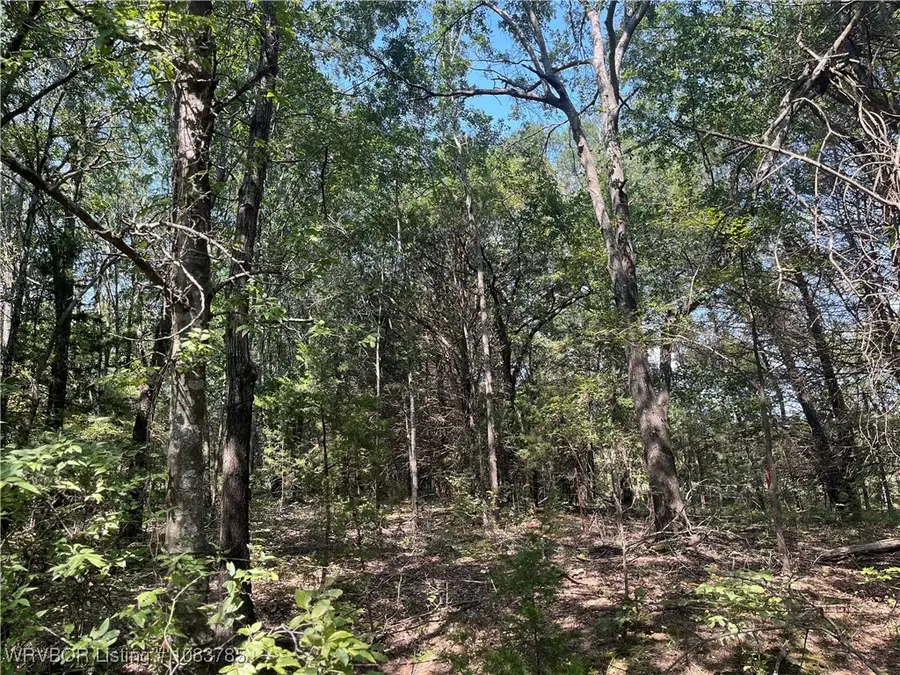 TBD E1230 Road, Hanna, OK 74845 - Image #2