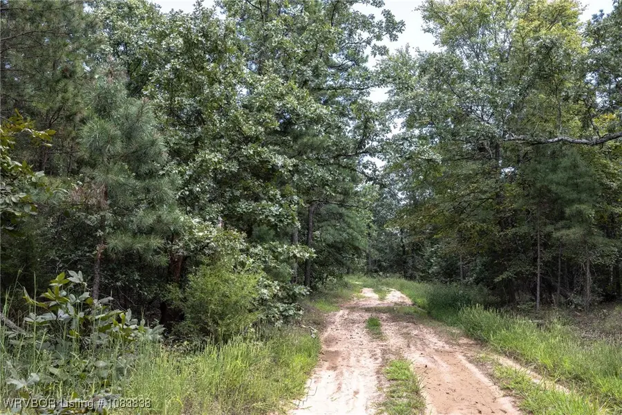 TBD Wolf Mountain Road, Clayton, OK 74536 - Image #3