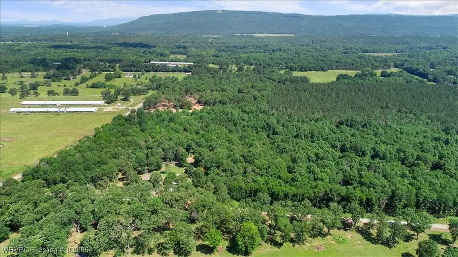 LOT 1 Walker Mountain Road, Heavener, OK 74937 - #2