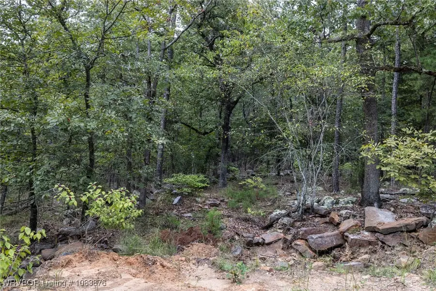 TBD Martin Trl Road, Moyers, OK 74540 - Image #3