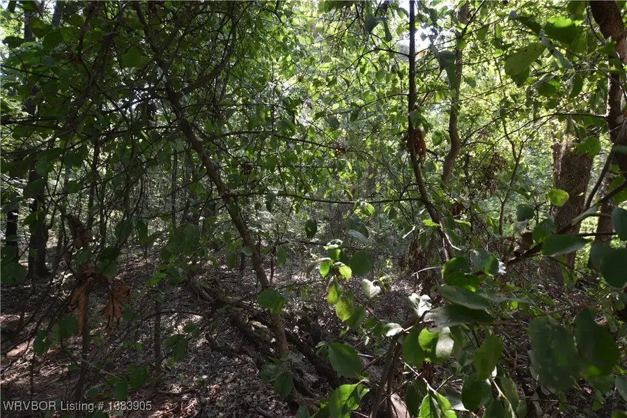 85201 S 4750 Road, Stilwell, OK 74960 - Image #3