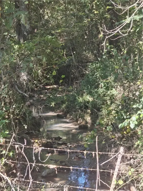 na Spring Lake Road, New Blaine, AR 72851 - Image #3