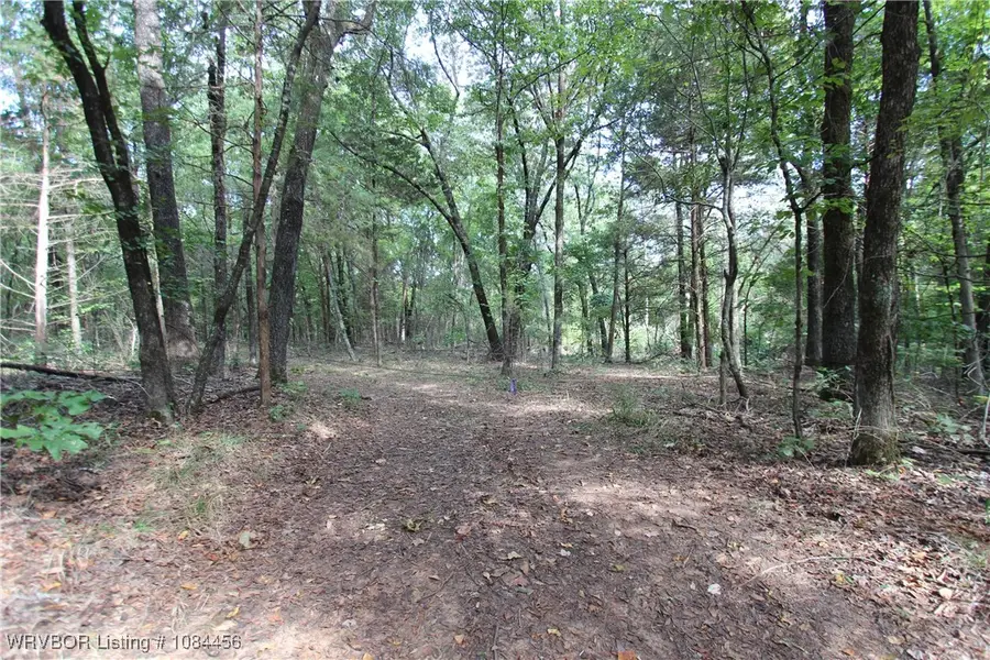 TBD High Rock & Lancaster Road, Rudy, AR 72952 - Image #3