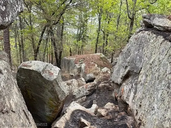 TBD Kiamichi Wilderness, Antlers, OK 74523