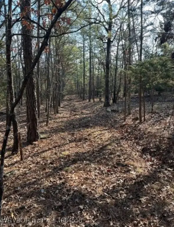 TBD Rural Latimer, Wilburton, OK 74578 - Image #2