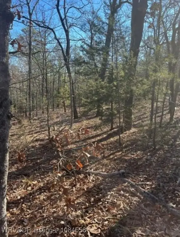 TBD Rural Latimer, Wilburton, OK 74578 - Image #3