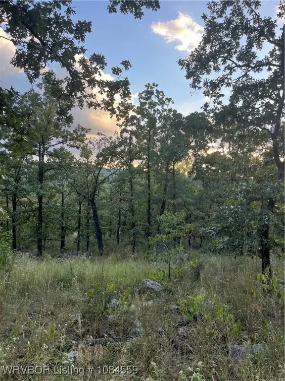 TBD Savage Road, Pittsburg, OK 74560 - Image #2