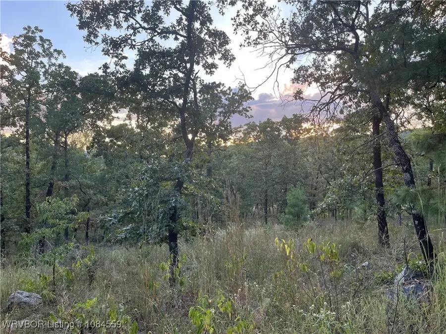 TBD Savage Road, Pittsburg, OK 74560 - Image #3