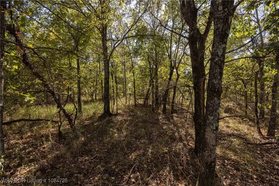 TBD SE 575th Drive, Locust Grove, OK 74352 - Image #2