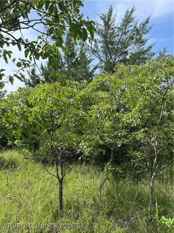 Tract 1 E 1090 Rd., Henryetta, OK 74437 - Image #2