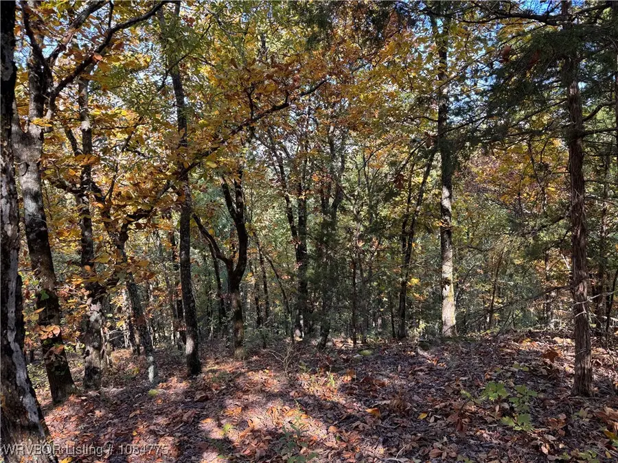 Tract 2 Benson Lane, Heavener, OK 74937 - Image #2