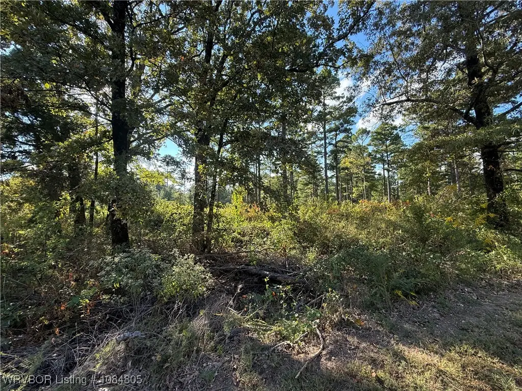 TBD Lake Spur Drive, Mansfield, AR 72944 - Image #1