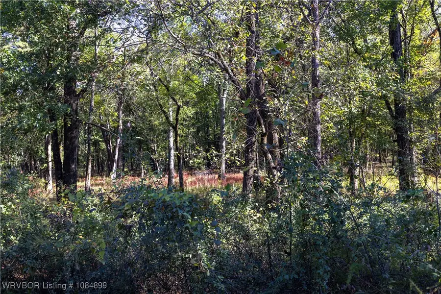 TBD Savage Road, Pittsburg, OK 74560 - Image #3
