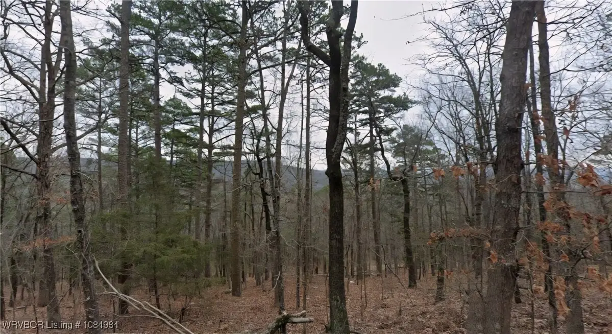 Lot 23-24 Chelsea Court, Bryant, AR 72088 - #1