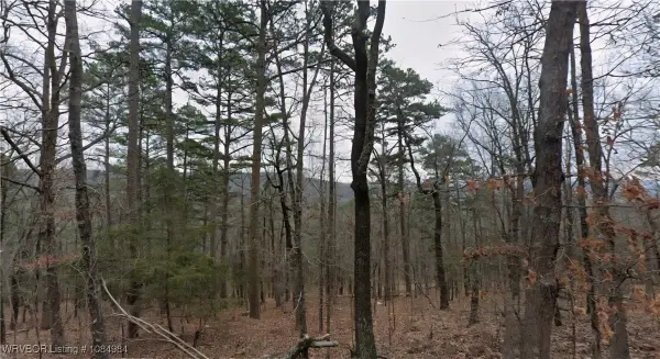 Lot 23-24 Chelsea Court, Other AR, AR 72088