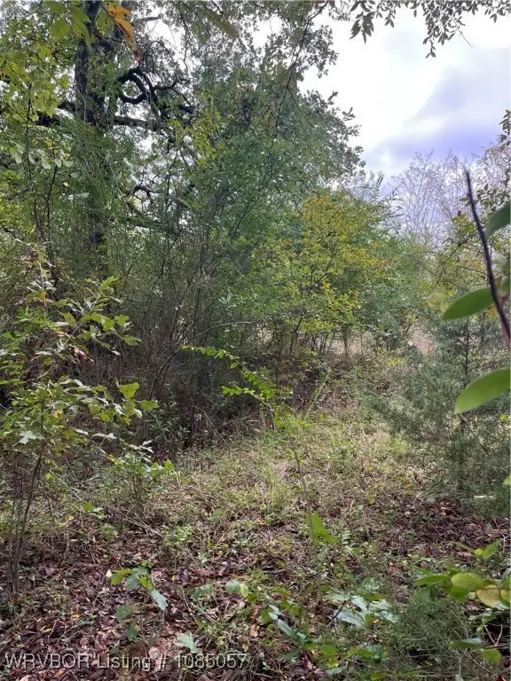 TBD D1059 Road, Sallisaw, OK 74955 - Image #2