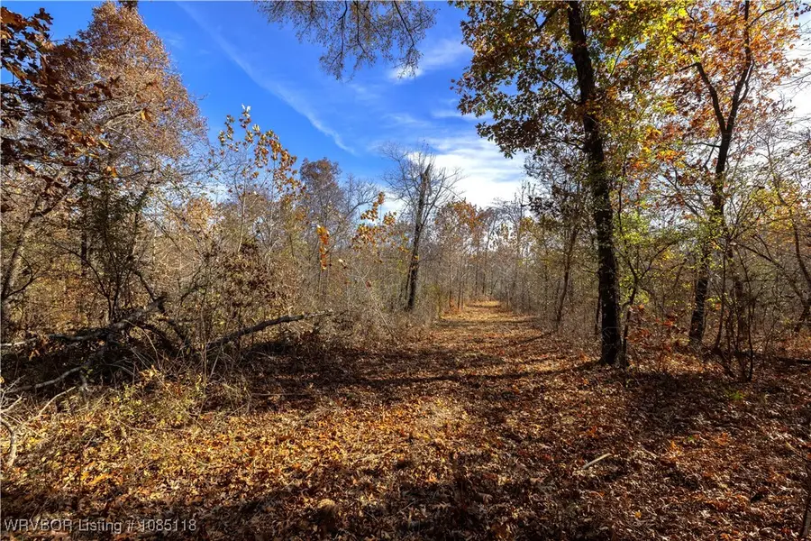 TRACT 1 Se 575th, Locust Grove, OK 74352 - Image #2