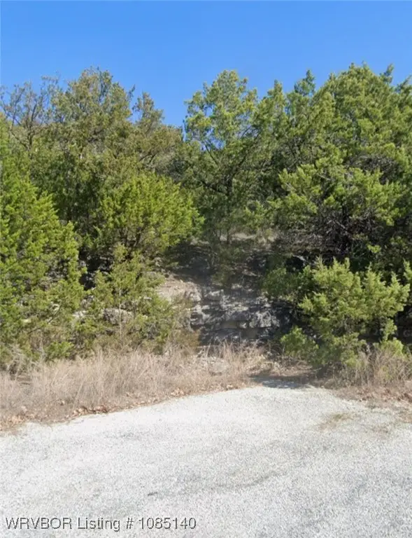 9 Sioux Lane, Holiday Island, AR 72631 - Image #1