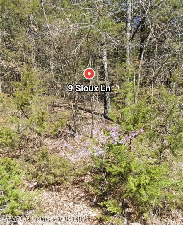 9 Sioux Lane, Holiday Island, AR 72631 - Image #2