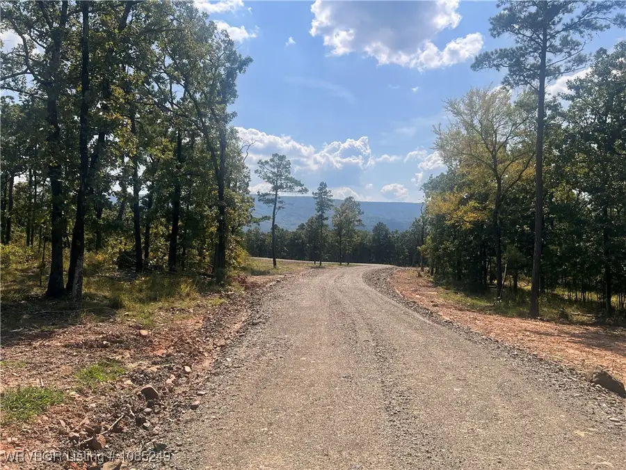 Tract 14 River Road, Whitesboro, OK 74577 - Image #2