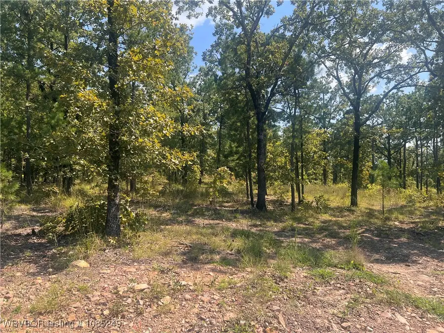 Tract 14 River Road, Whitesboro, OK 74577 - Image #3