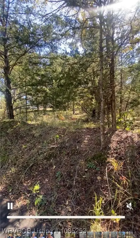 lot 5 Cobblestone Road, Huntington, AR 72940 - Image #1