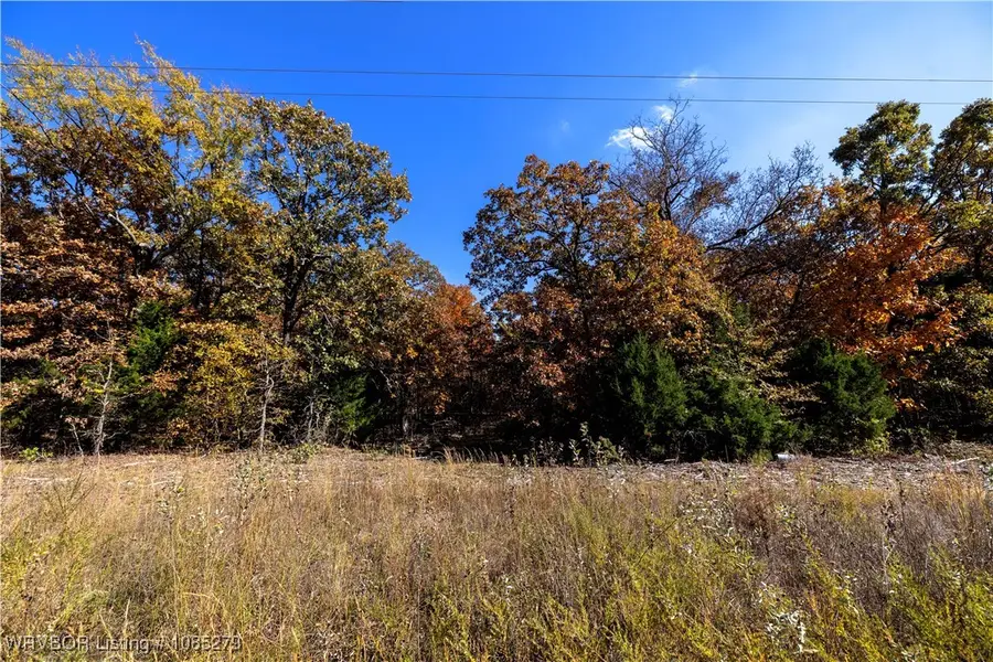 TBD S 4497th Rd, Vian, OK 74962 - Image #3