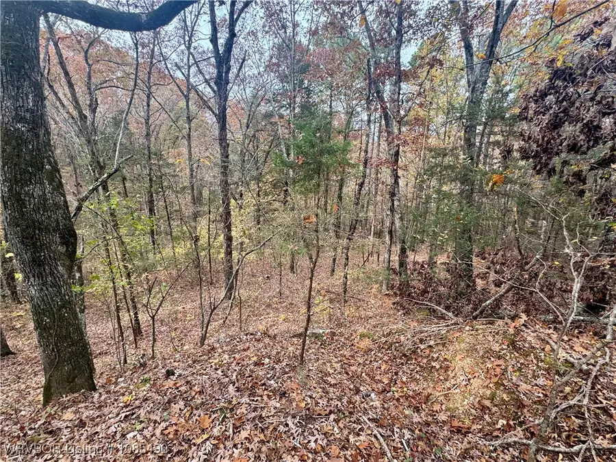 01 96 Highway, Cecil, AR 72930 - Image #3