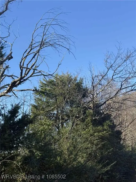 Tract 12 Lakeview Drive, Spiro, OK 74959 - Image #3