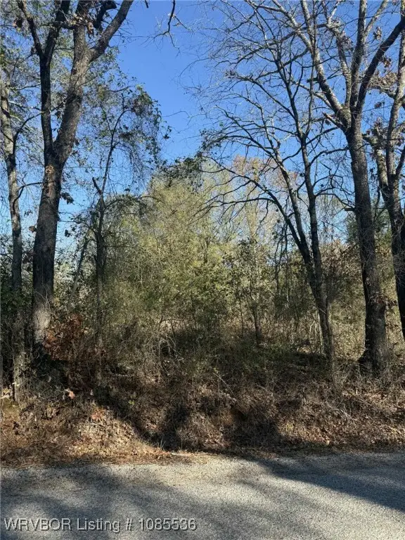 Tract 3 2nd Street, Spiro, OK 74959 - #3