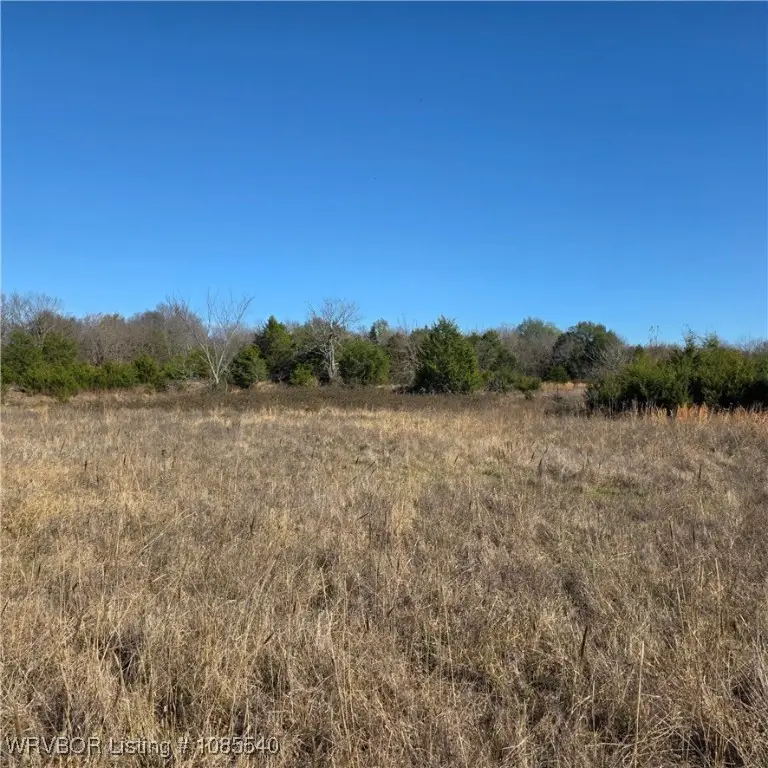 Tract 2 E1290 Road, McCurtain, OK 74944 - Image #3