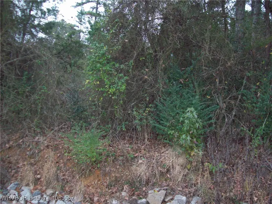 TBD Pierce Road, Ozark, AR 72949 - Image #3