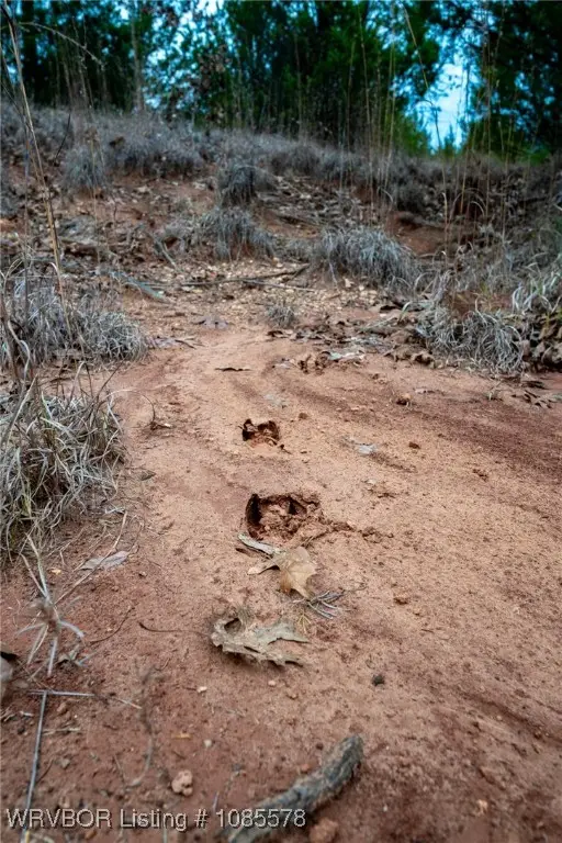 Tract 4 Acme Road, Asher, OK 74826 - Image #2