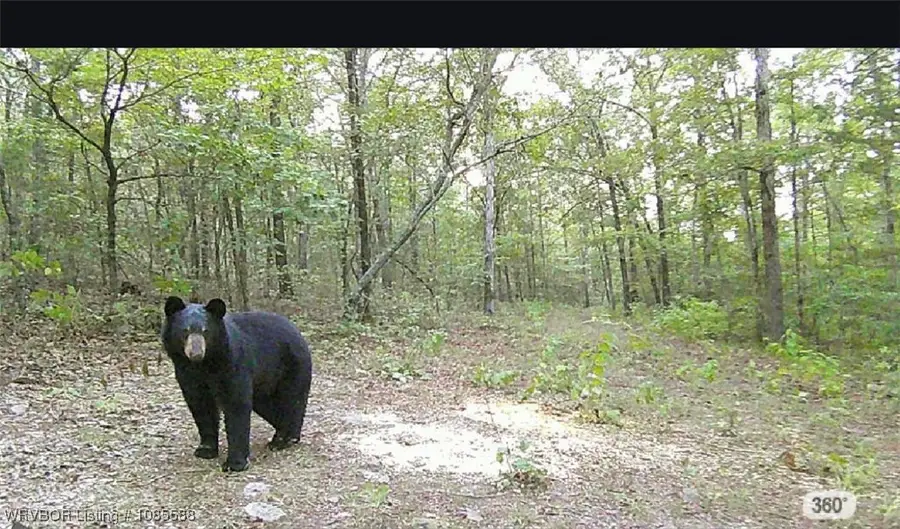 / Mickels Switch Road, Danville, AR 72833 - Image #2