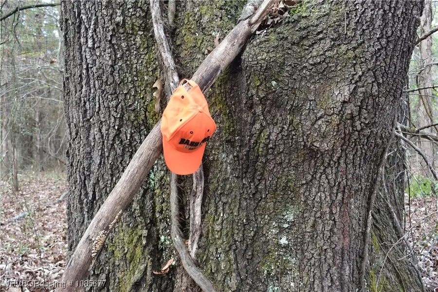 TBD Bethel Road, Magazine, AR 72943 - Image #3