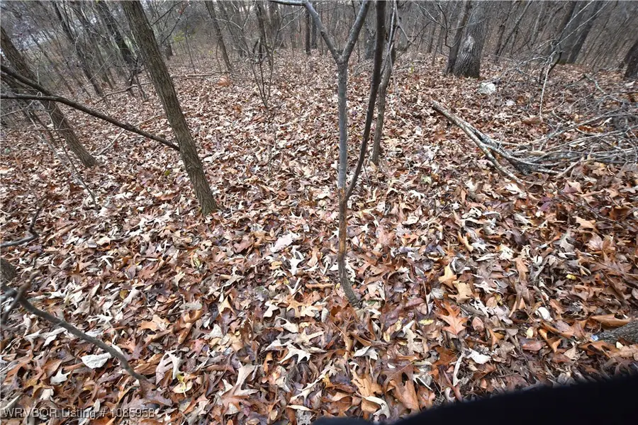 462091 Highway 100, Stilwell, OK 74960 - Image #3