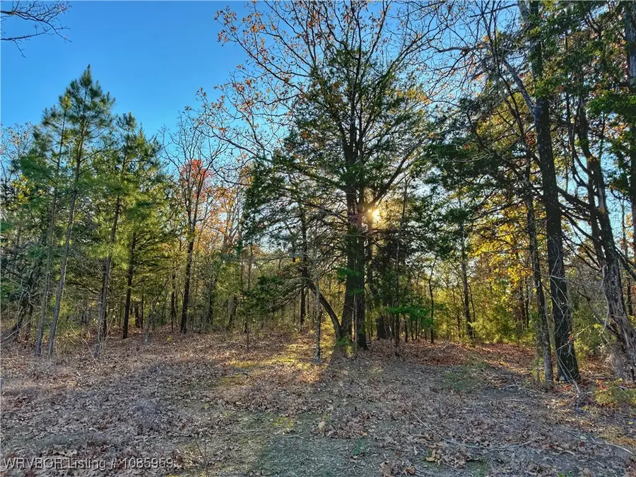 123 Billy Creek Road, Muse, OK 74949 - Image #3