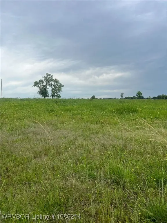 TBD Raleigh, Lavaca, AR 72951 - Image #1