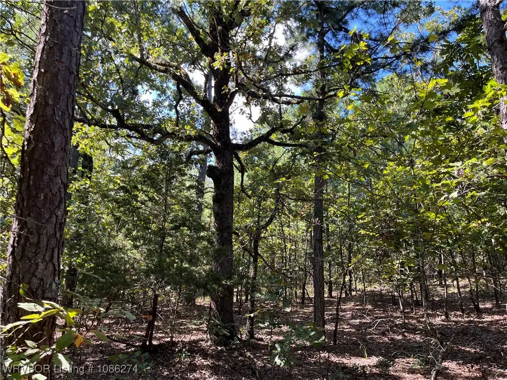 TBD Goat Bluff, Wister, OK 74966 - Image #1