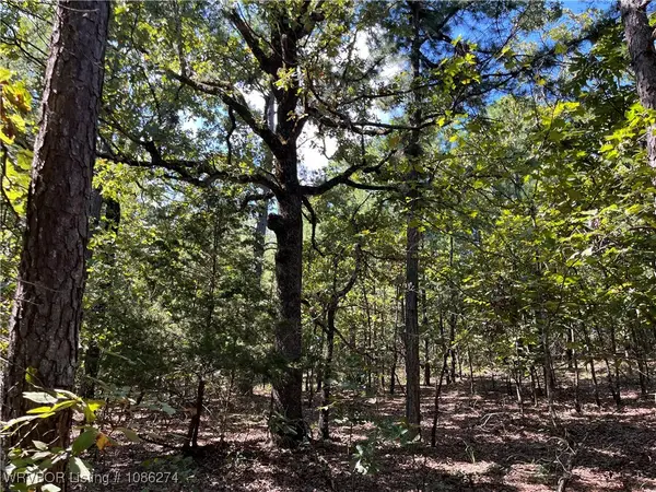 TBD Goat Bluff, Wister, OK 74966