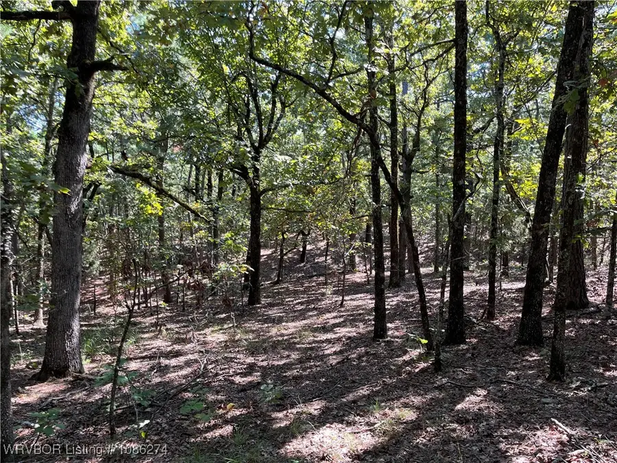 TBD Goat Bluff, Wister, OK 74966 - Image #3