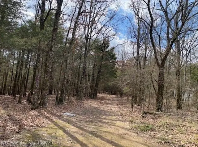 TBD Pawpaw Branch Road, Chester, AR 72934 - Image #1