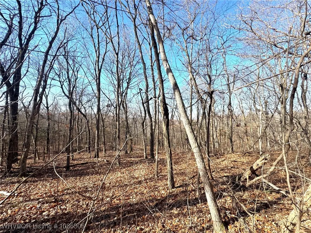 12555 Huckleberry Circle, Rogers, AR 72756 - Image #1