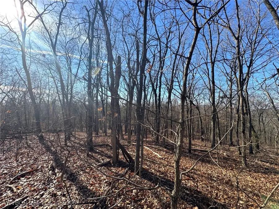 12555 Huckleberry Circle, Rogers, AR 72756 - Image #2